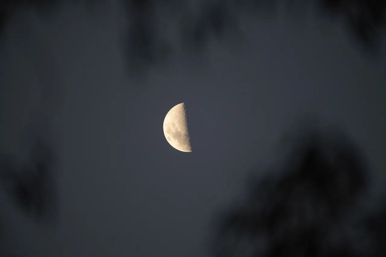 Nyx diosa primordial de la noche