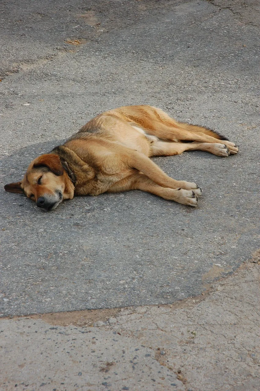Morfeo durmiendo